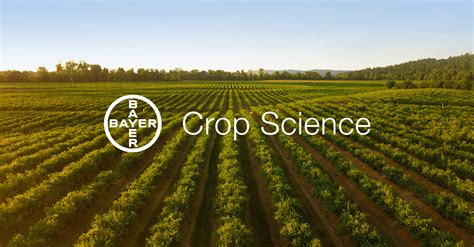 crop bayer science asgrow